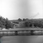 Bramham Park, Pond